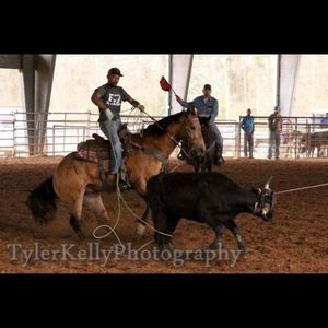 Meet your Posher, Dominic